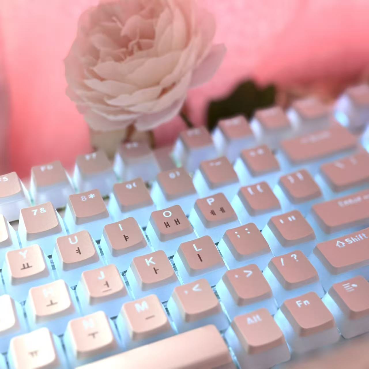 키캡 keycap 키보드 키캡 키캡 pbt 한글 키캡  - Gaming Accessories Aesthetic 리뷰 및 가격